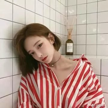 白莲花度假村第一季